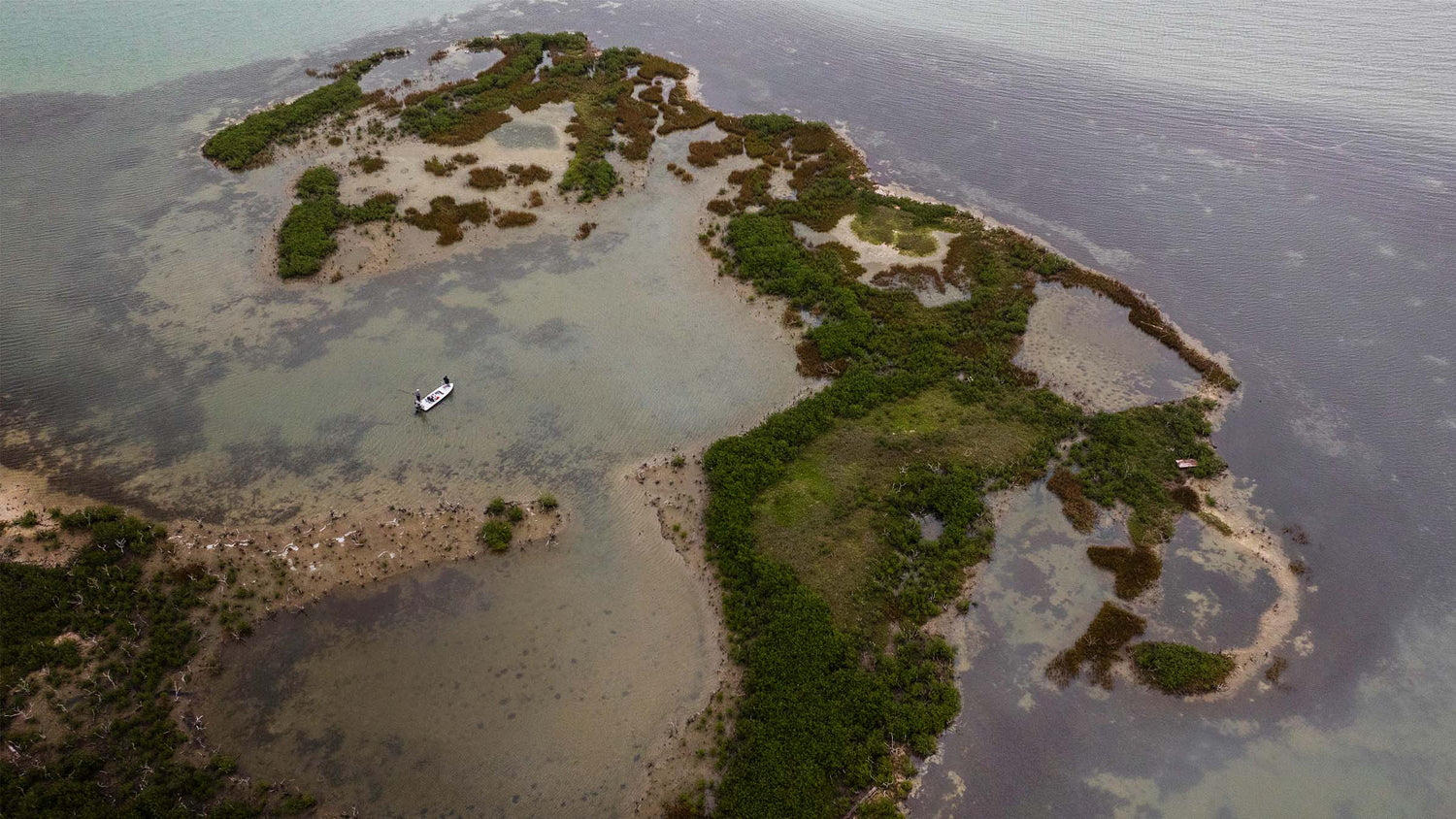 Aerial view of fly fishing guide on skiff in open marsh flat