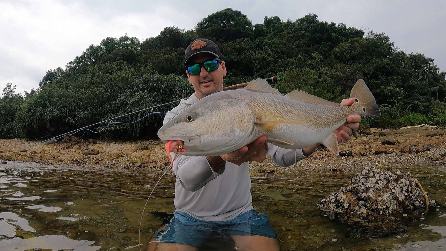 A fly angler wearing sunglasses and a cap stands in shallow water holding a large redfish, with trees and rocks in the background.