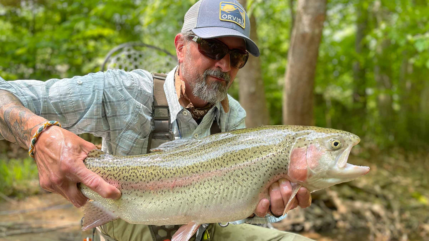 A fly fisherman wearing sunglasses and a cap holds a large rainbow trout in a wooded outdoor setting. The cap features a visible ORVIS logo.