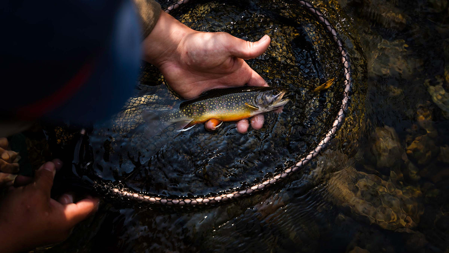 A fly angler holding a small trout over a circular net in shallow rocky water, with hands and part of a dark hat visible in a natural outdoor setting.