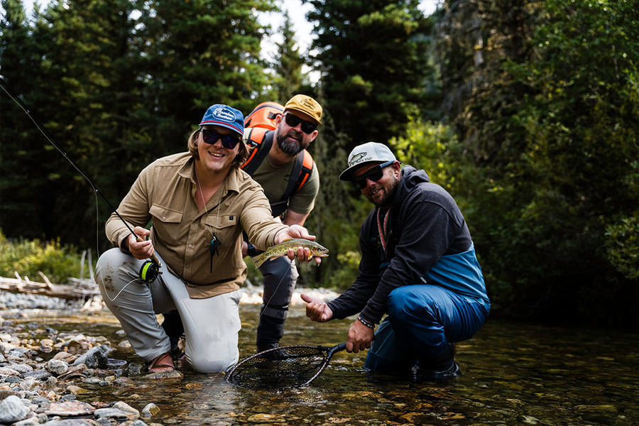 Three fly fishermen in a forested area by a stream, with one person holding a trout